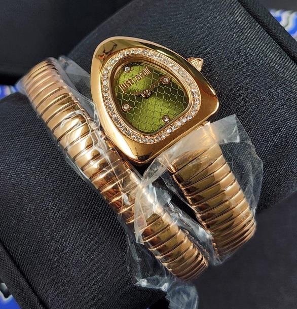 17 Just Cavalli Signature Snake Women's Watch – JC1L249M0045 - Image 1